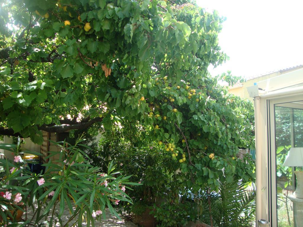 Le Soleil Bleu Bed & Breakfast